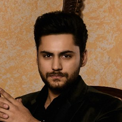 Sameer Lodhi